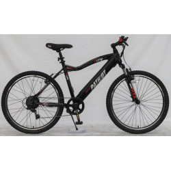 Patriot Solid (no puncture) Electric Bicycle